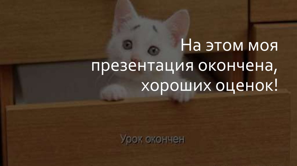 На этом моя презентация окончена, хороших оценок!