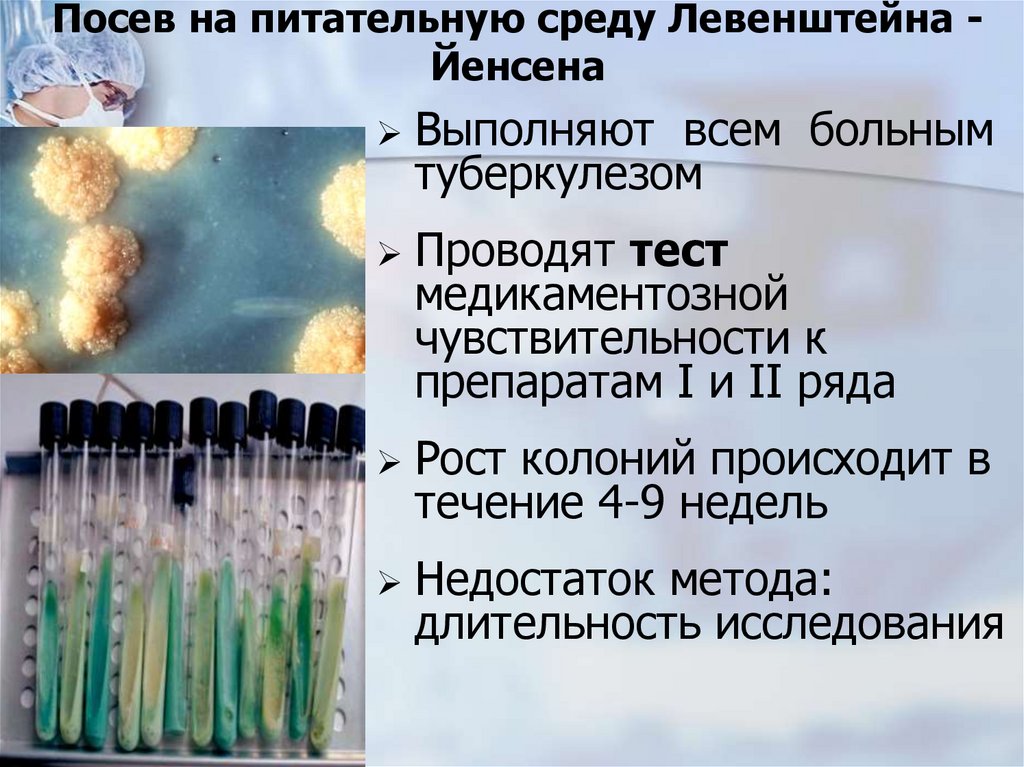 Посев на питательную среду Левенштейна - Йенсена