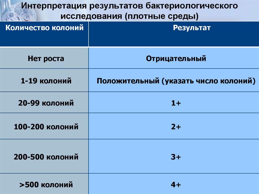 Интерпретация результатов бактериологического исследования (плотные среды)