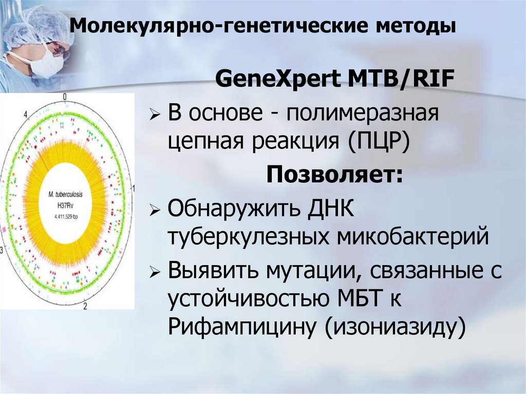 Молекулярно-генетические методы