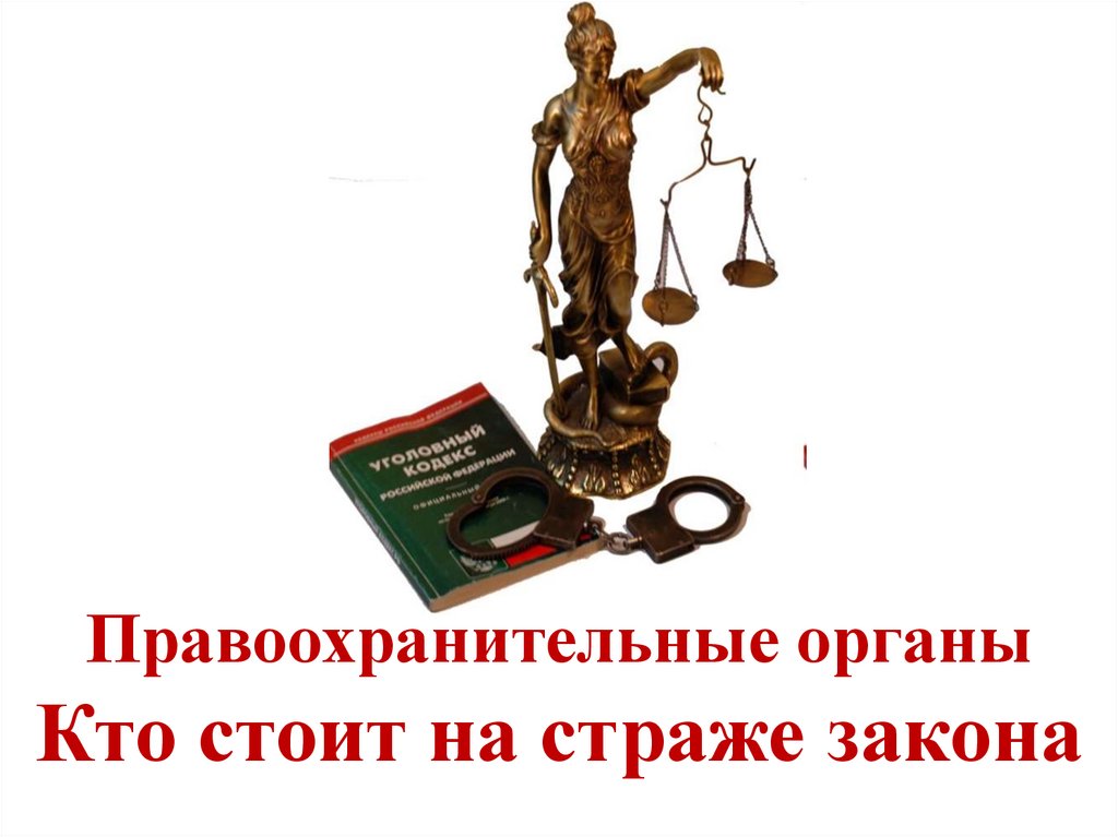 Правоохранительные органы