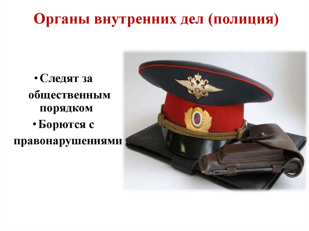 Органы внутренних дел (полиция)