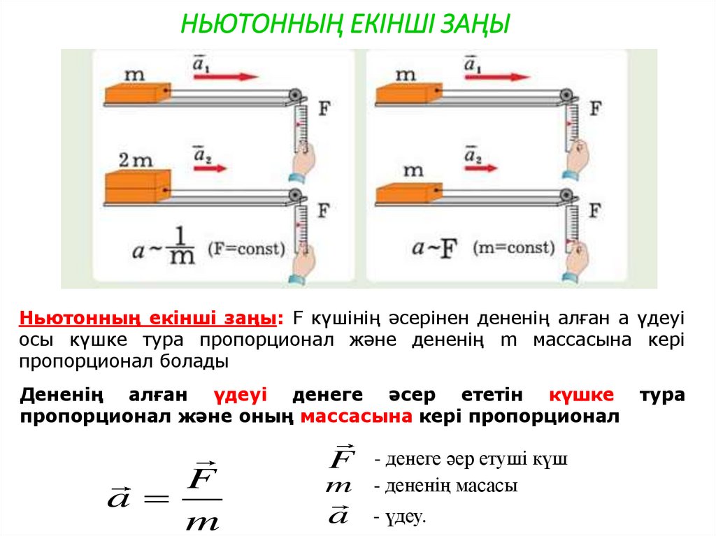 НЬЮТОННЫҢ ЕКІНШІ ЗАҢЫ