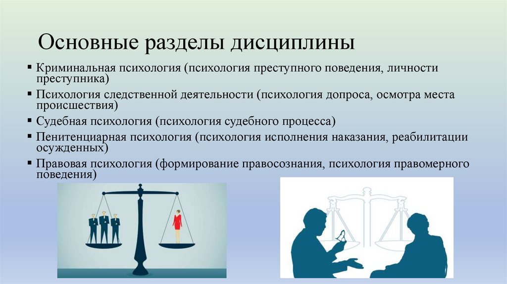 Основные разделы дисциплины