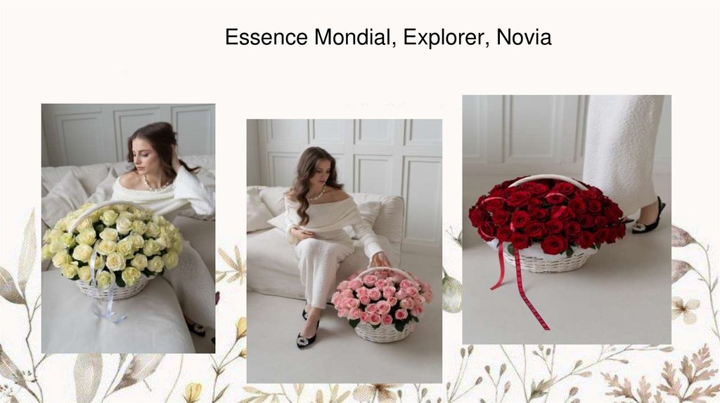 Essence Mondial, Explorer, Novia