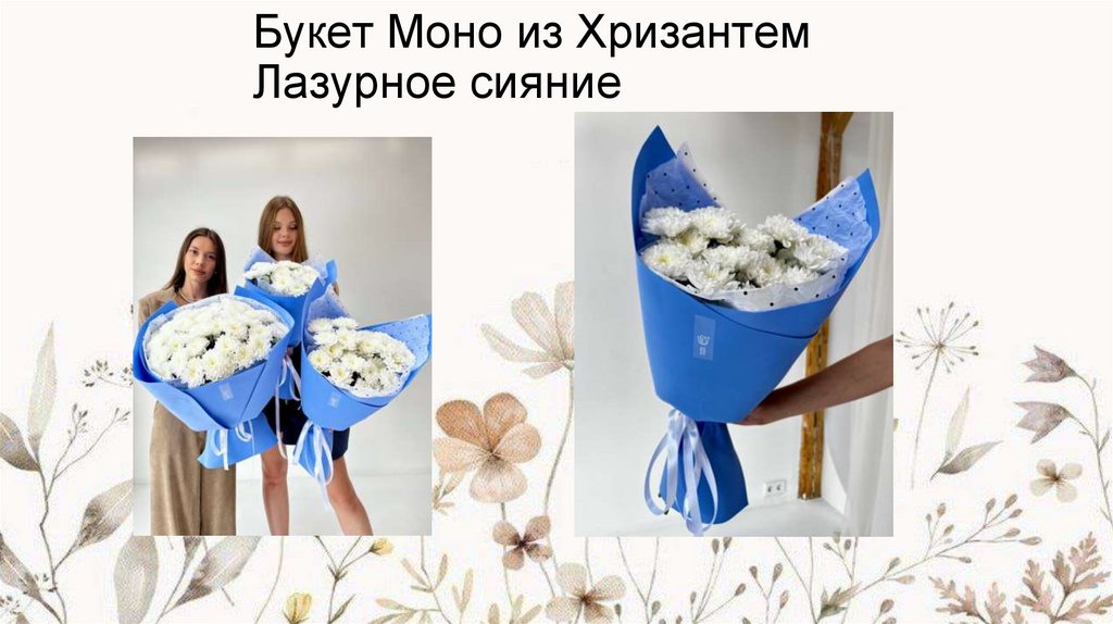 Букет Моно из Хризантем Лазурное сияние