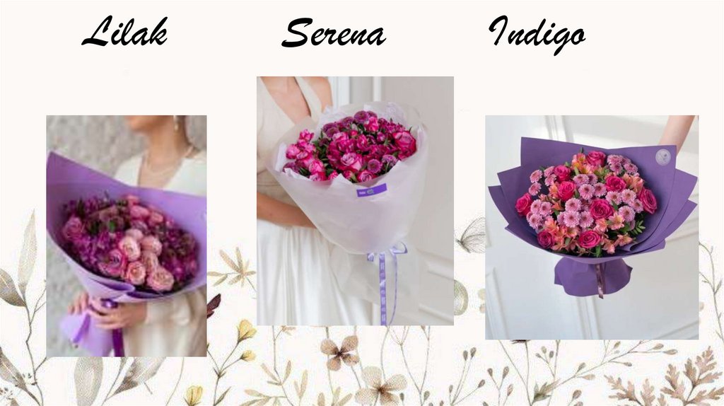 Lilak Serena Indigo