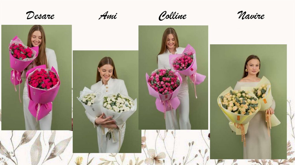 Desare Ami Colline Navire