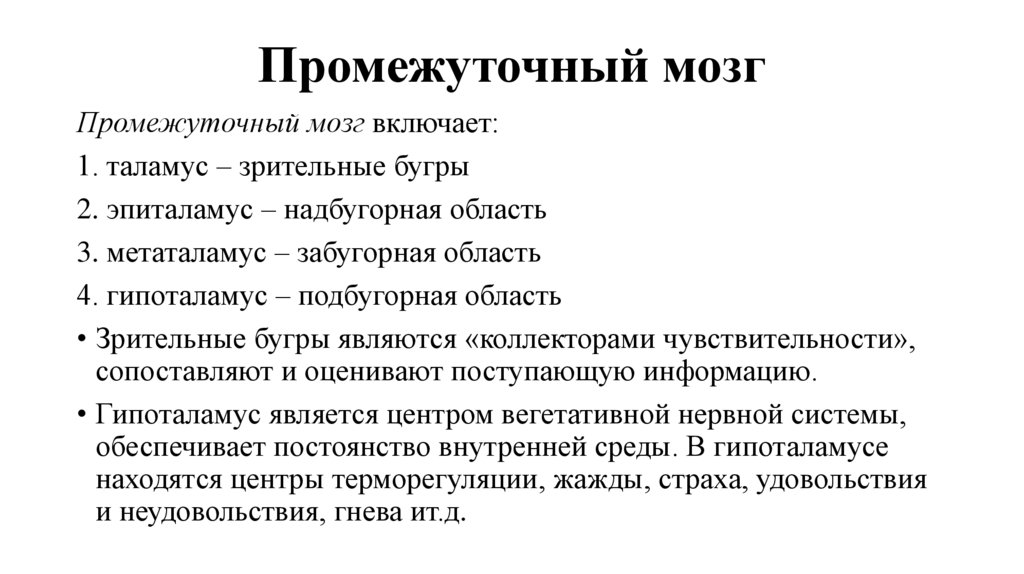 Промежуточный мозг