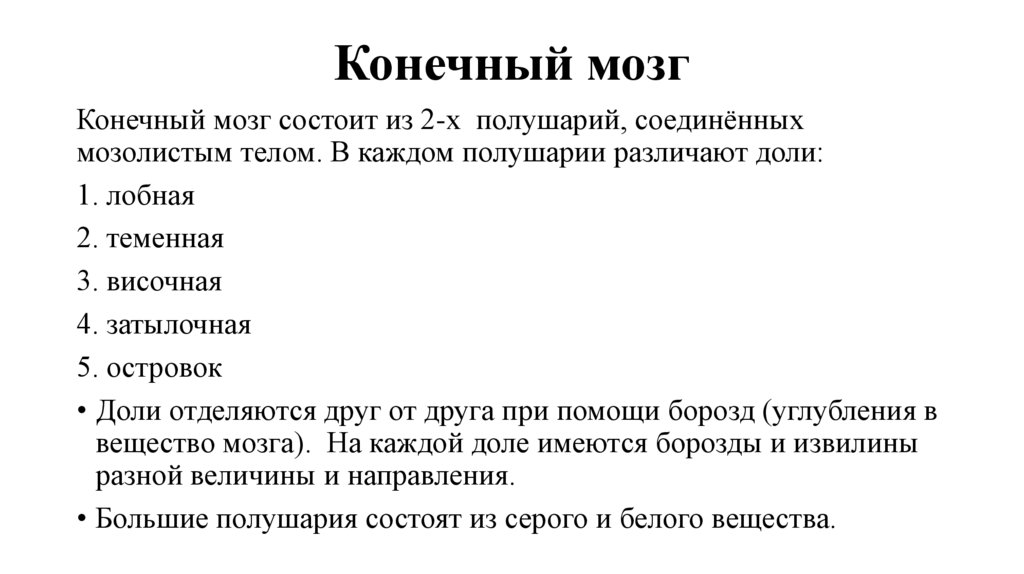 Конечный мозг