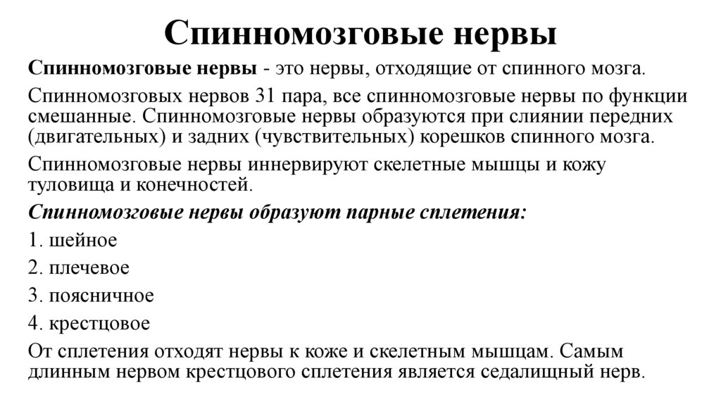 Спинномозговые нервы