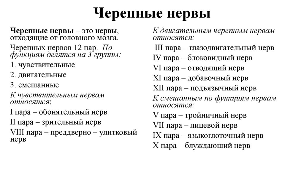 Черепные нервы