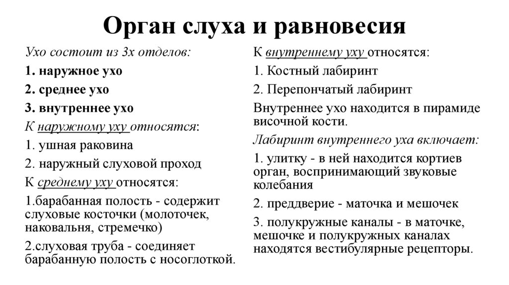 Орган слуха и равновесия