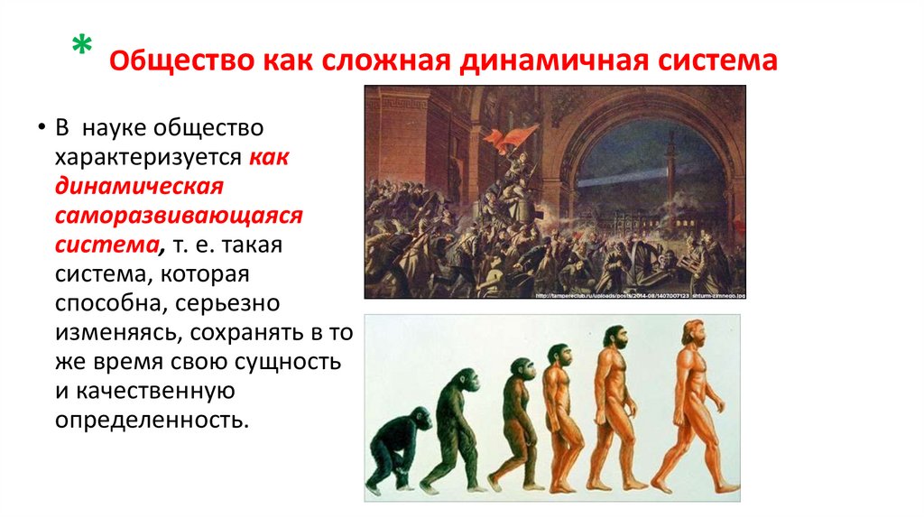 * Общество как сложная динамичная система