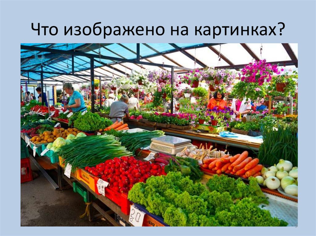 Что изображено на картинках?