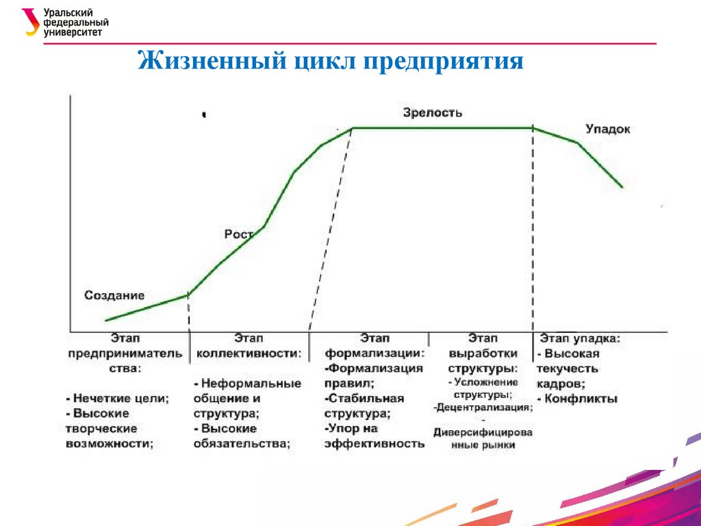 Жизненный цикл предприятия