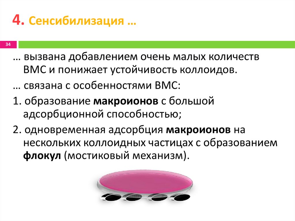 4. Сенсибилизация …