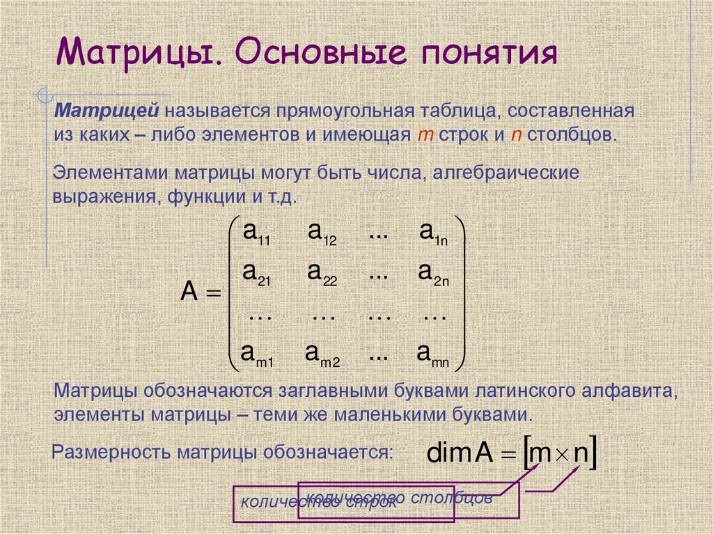Матрицы. Основные понятия