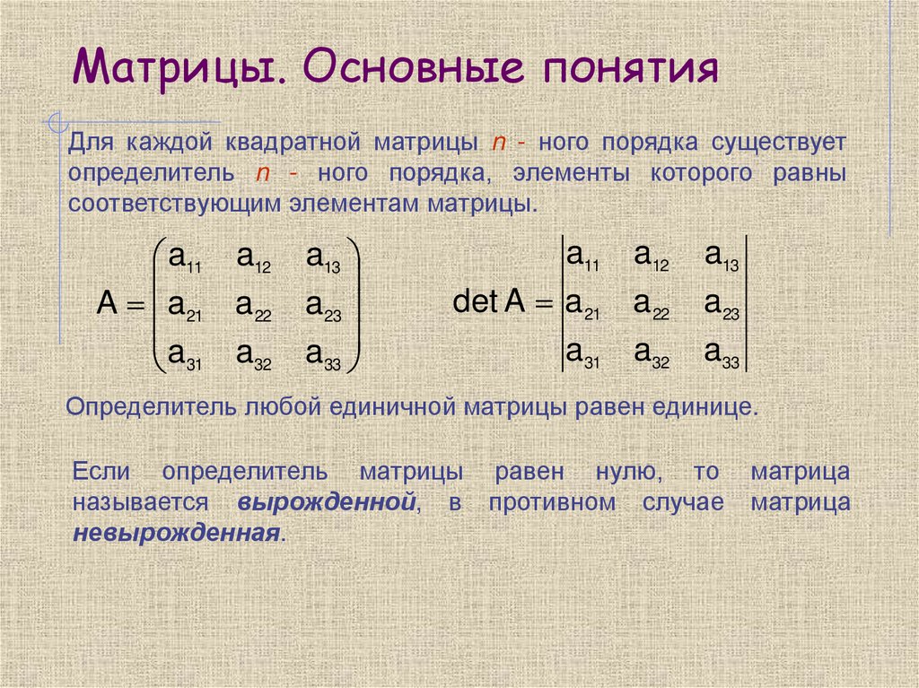 Матрицы. Основные понятия
