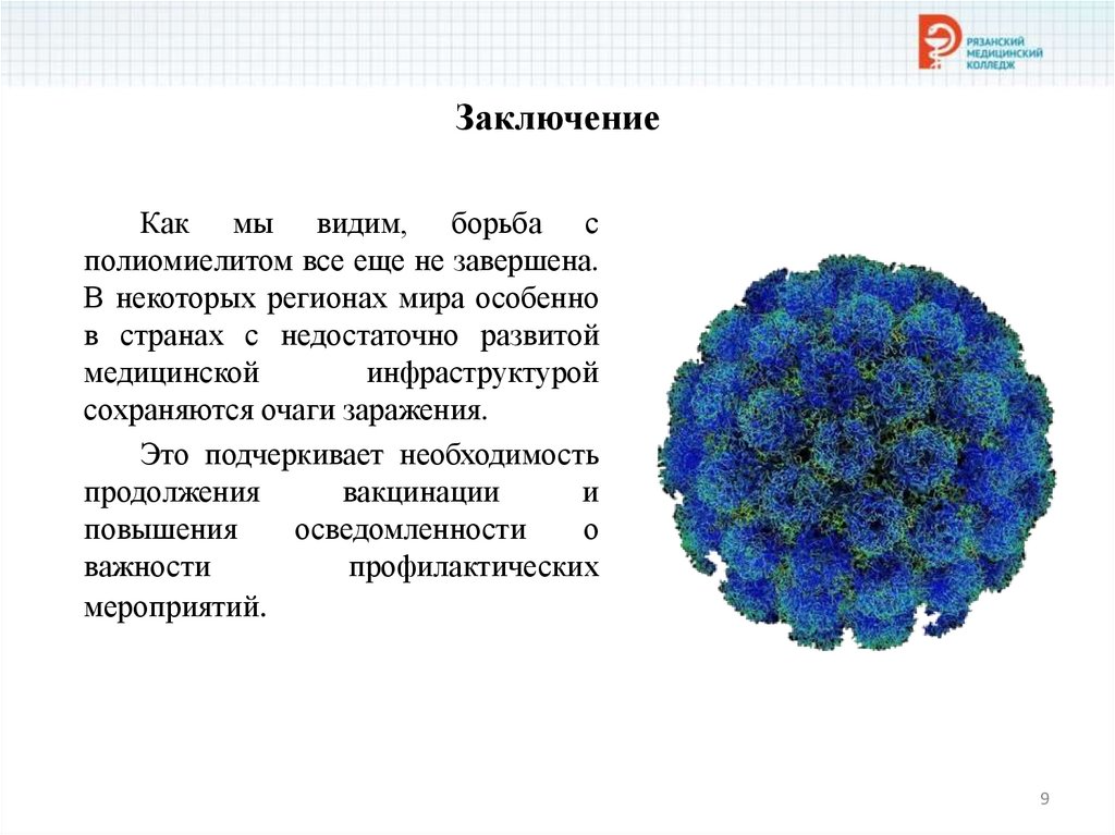 Заключение