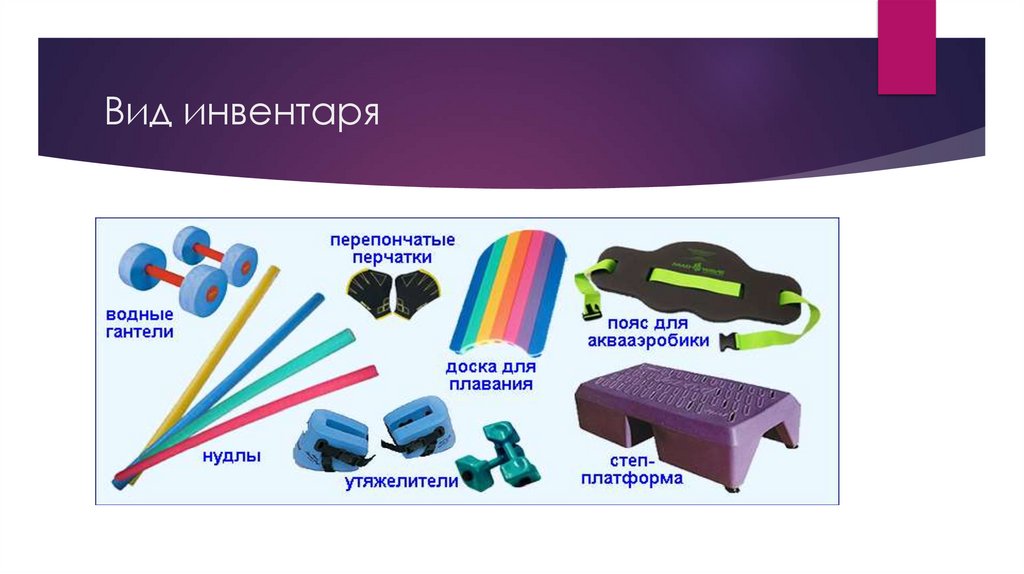 Вид инвентаря