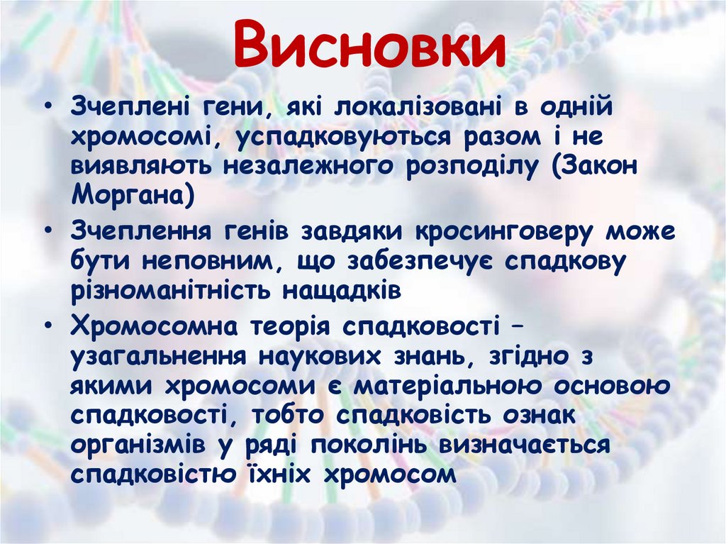 Висновки