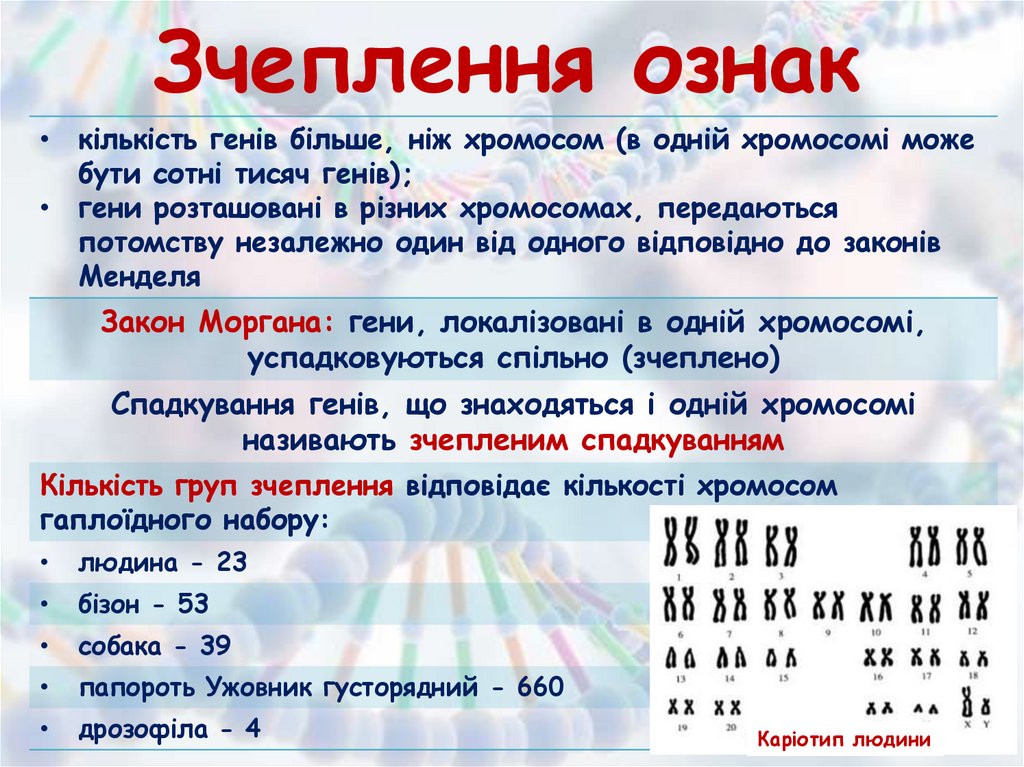 Зчеплення ознак