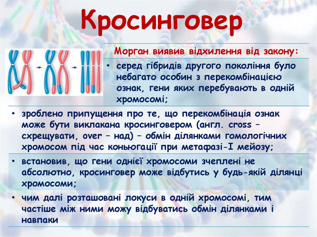 Кросинговер