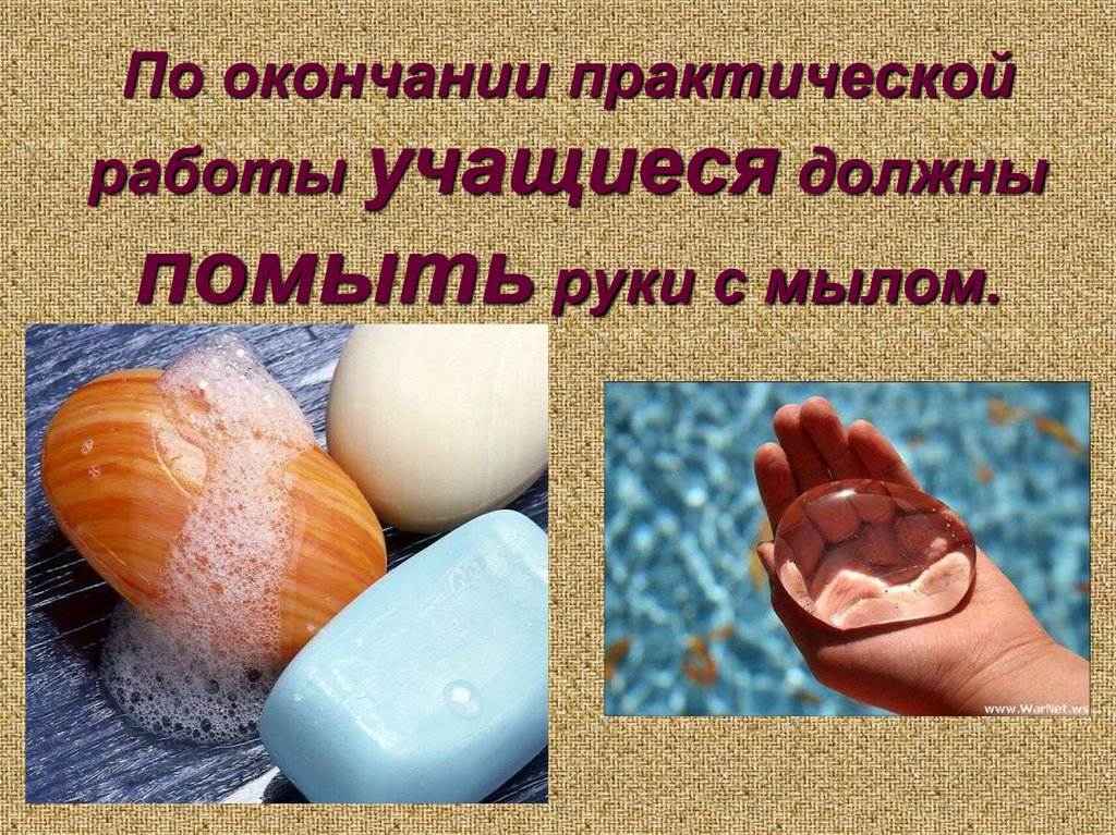 По окончании практической работы учащиеся должны помыть руки с мылом.