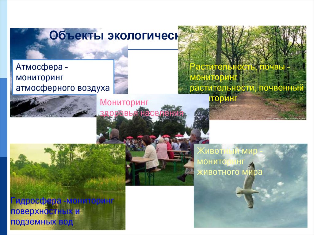 Объекты экологического мониторинга
