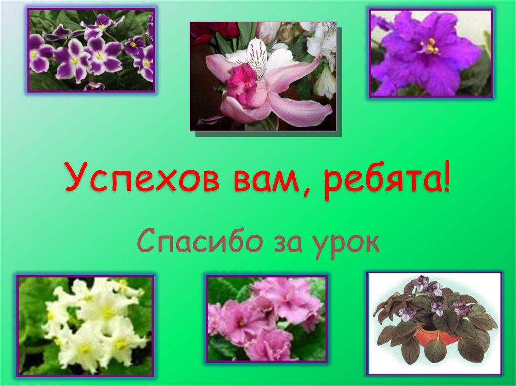 Успехов вам, ребята!