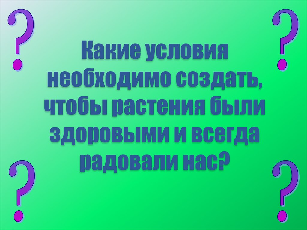 Какие условия необходимо создать, чтобы растения были здоровыми и всегда радовали нас?