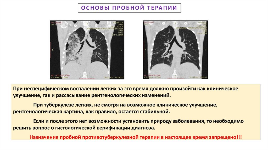 ОСНОВЫ ПРОБНОЙ ТЕРАПИИ