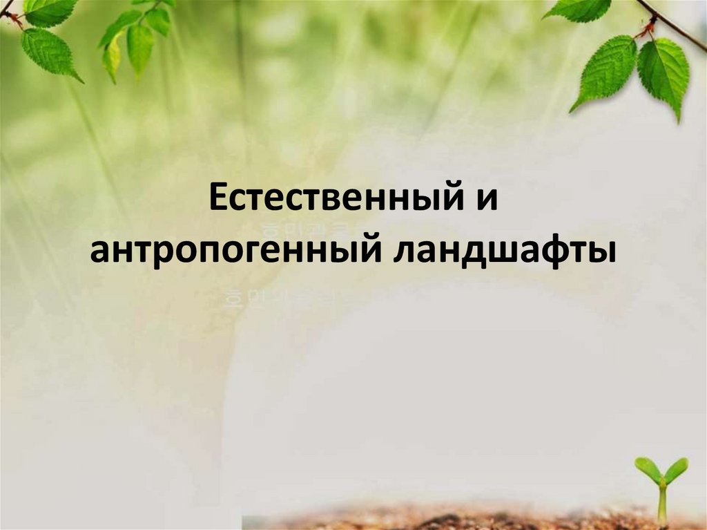 Естественный и антропогенный ландшафты