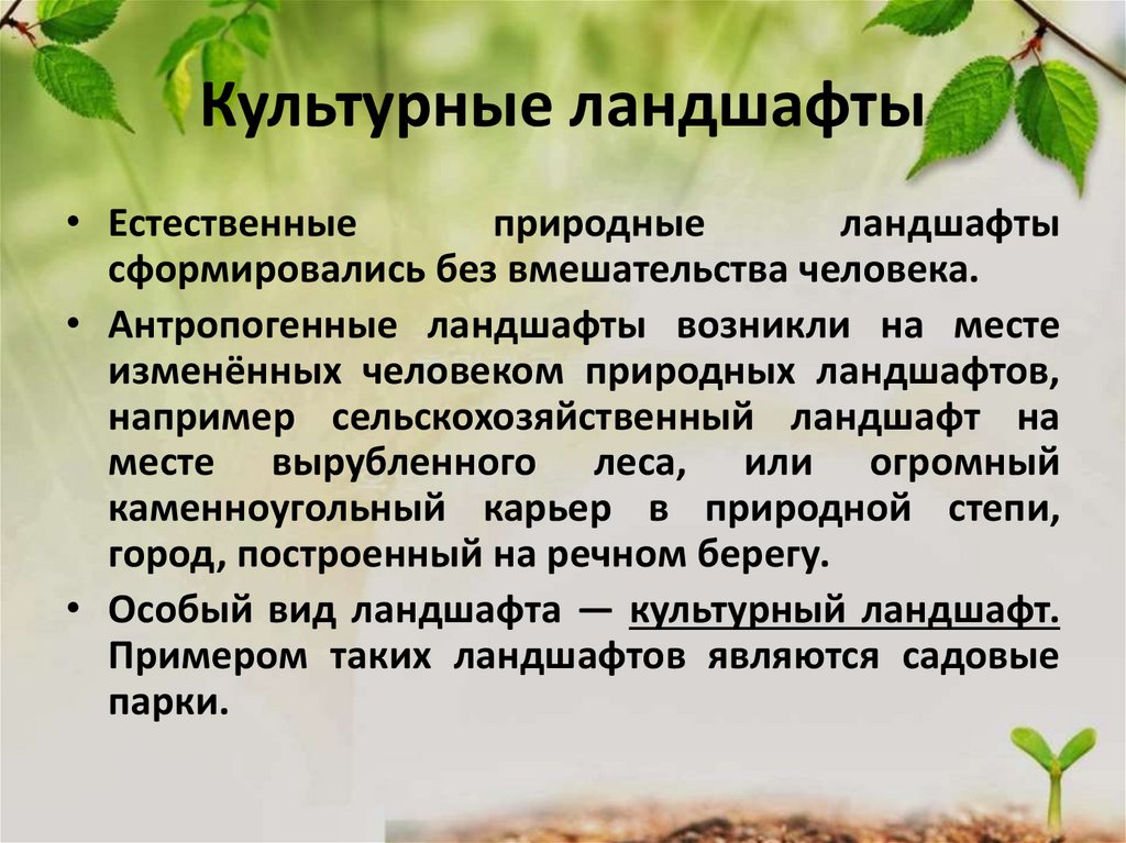 Культурные ландшафты