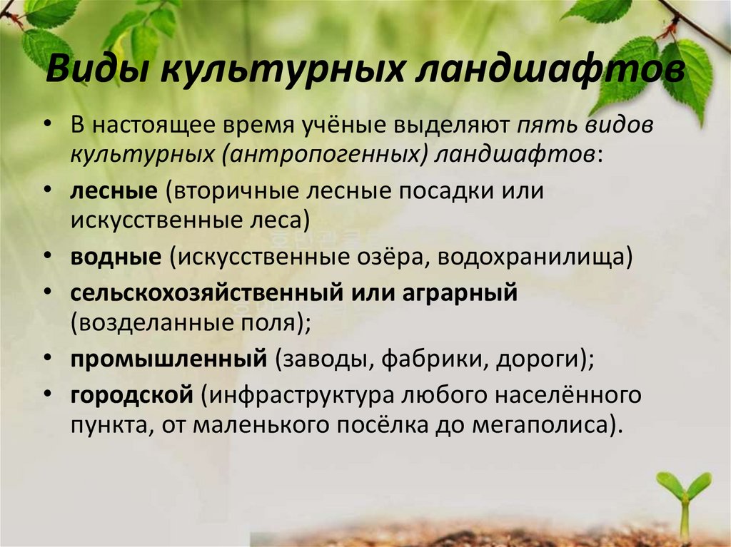 Виды культурных ландшафтов