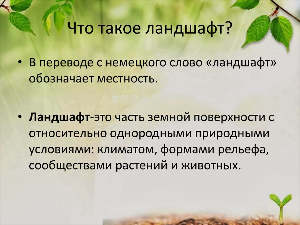 Что такое ландшафт?