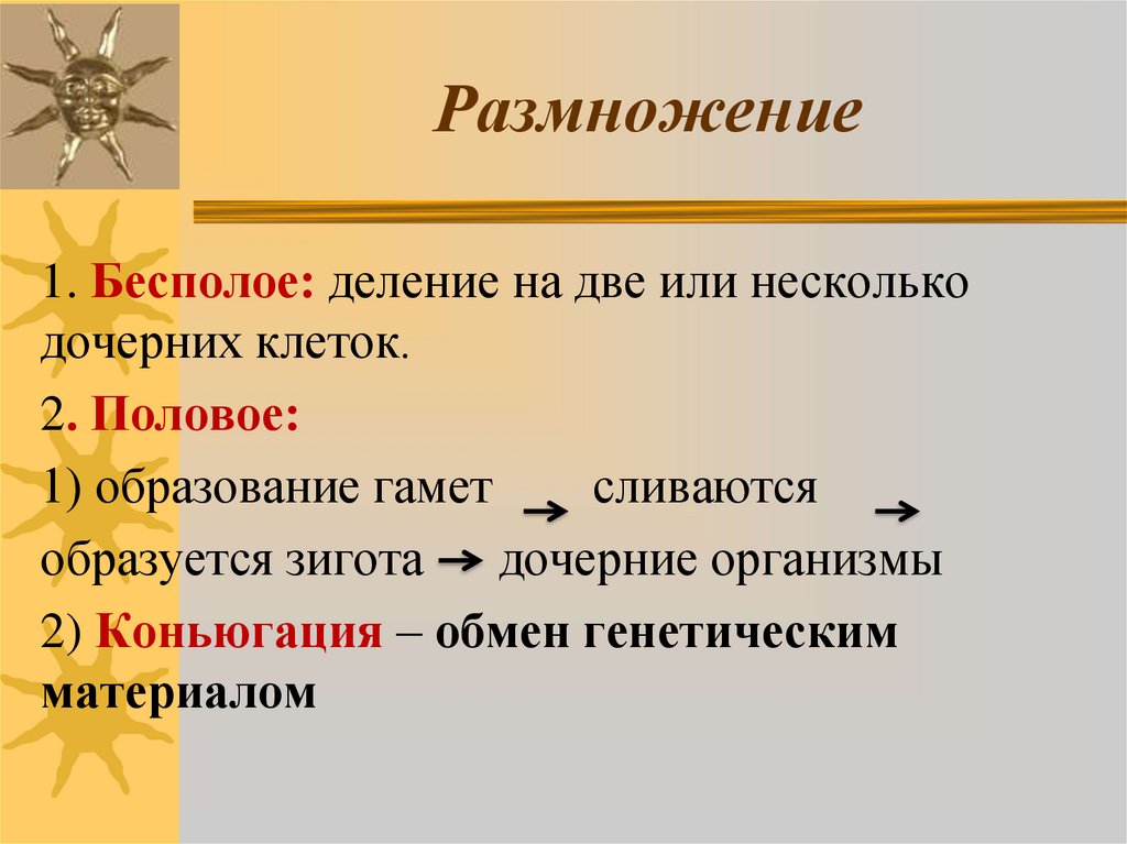 Размножение