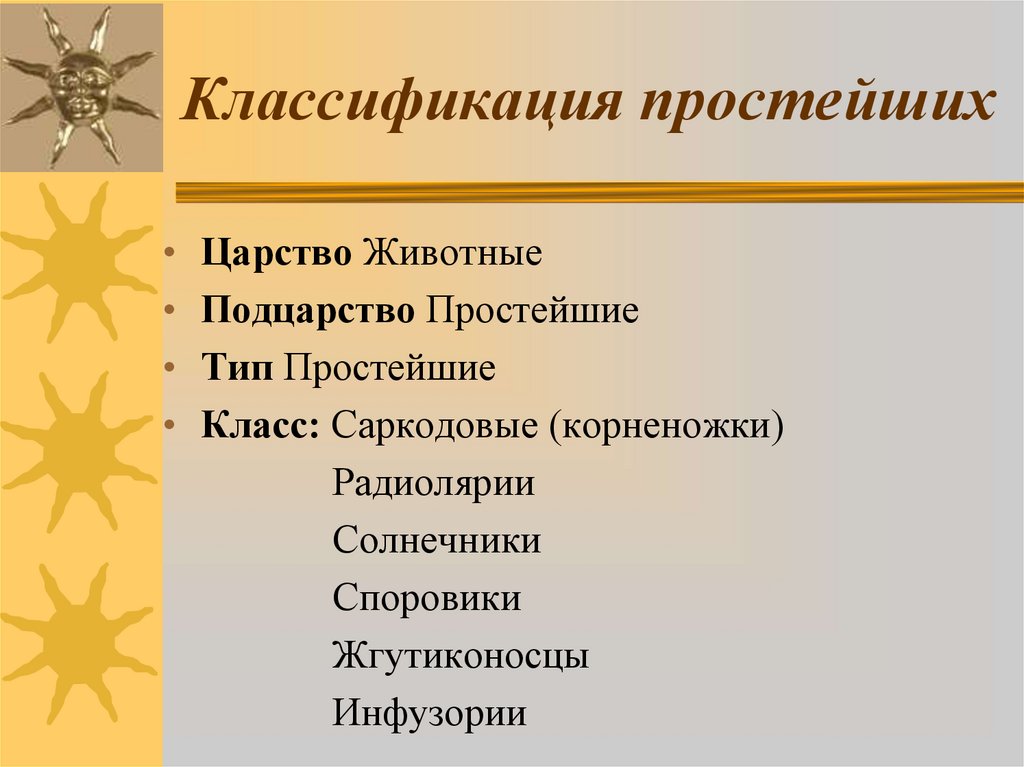 Классификация простейших