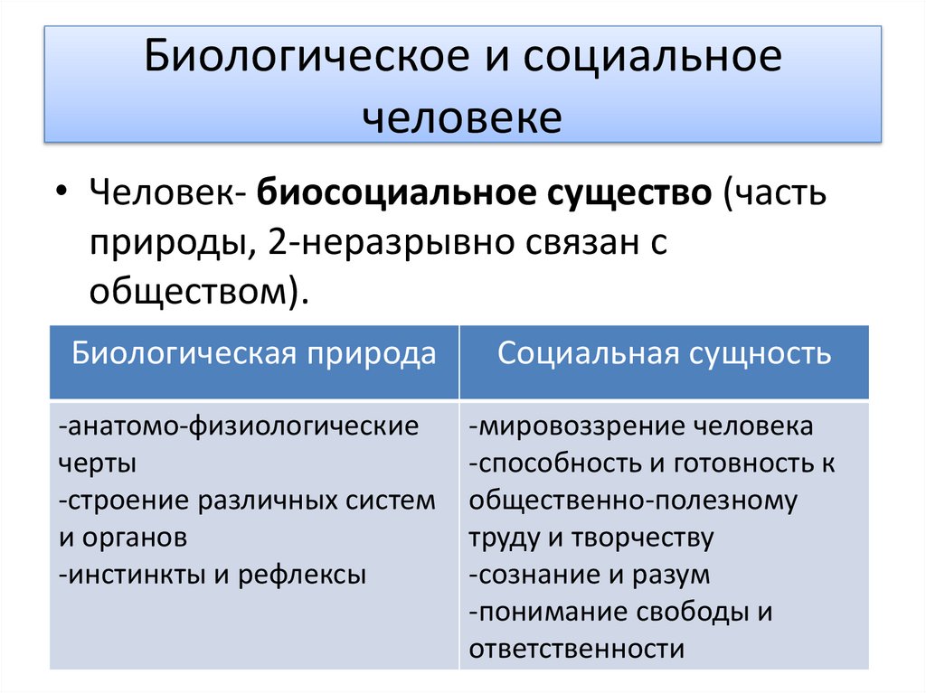 Биологическое и социальное человеке
