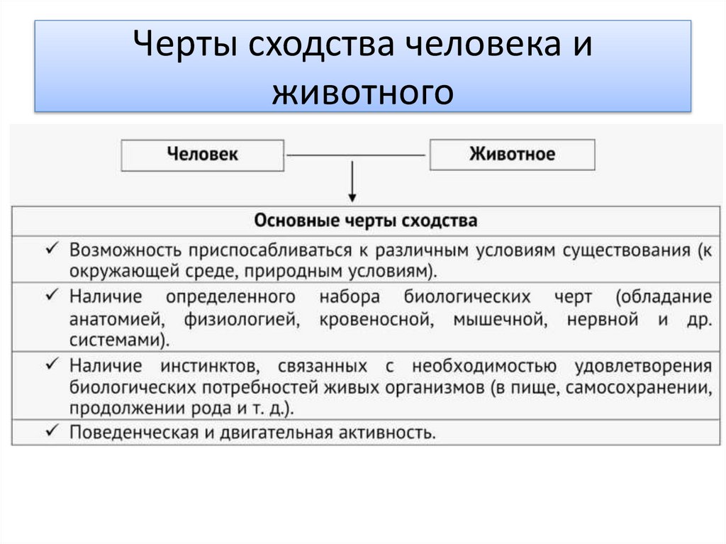 Черты сходства человека и животного