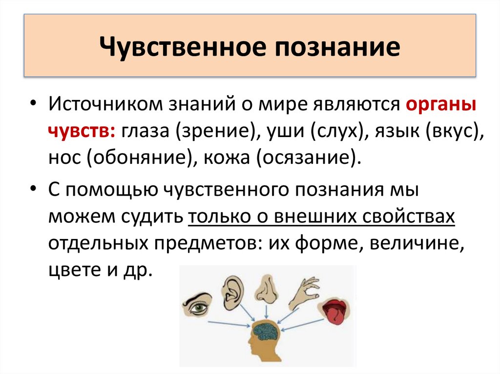 Чувственное познание