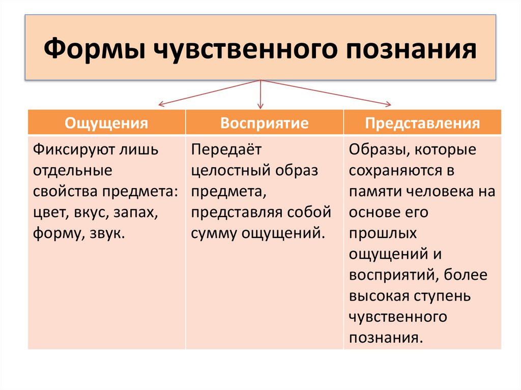 Формы чувственного познания