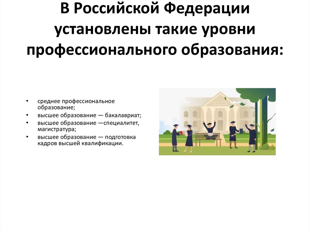 В Российской Федерации установлены такие уровни профессионального образования: