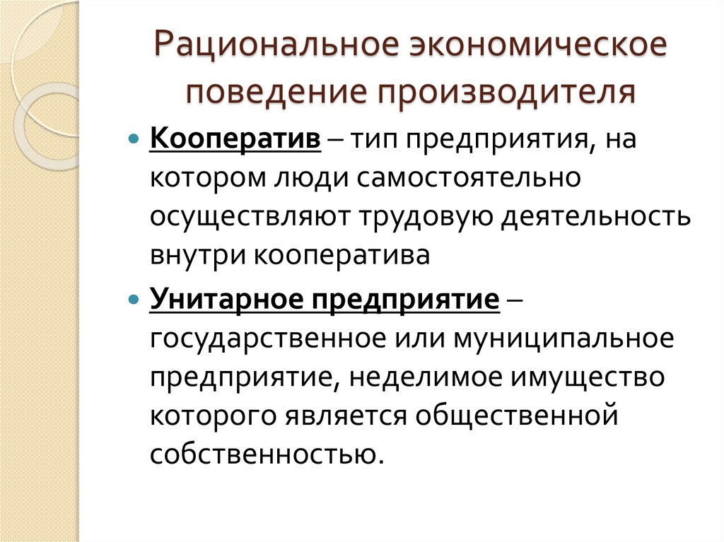 Рациональное экономическое поведение производителя