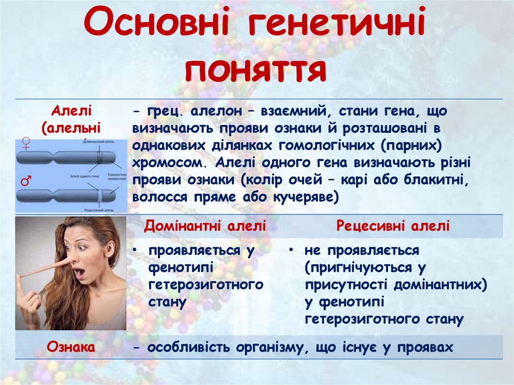 Основні генетичні поняття