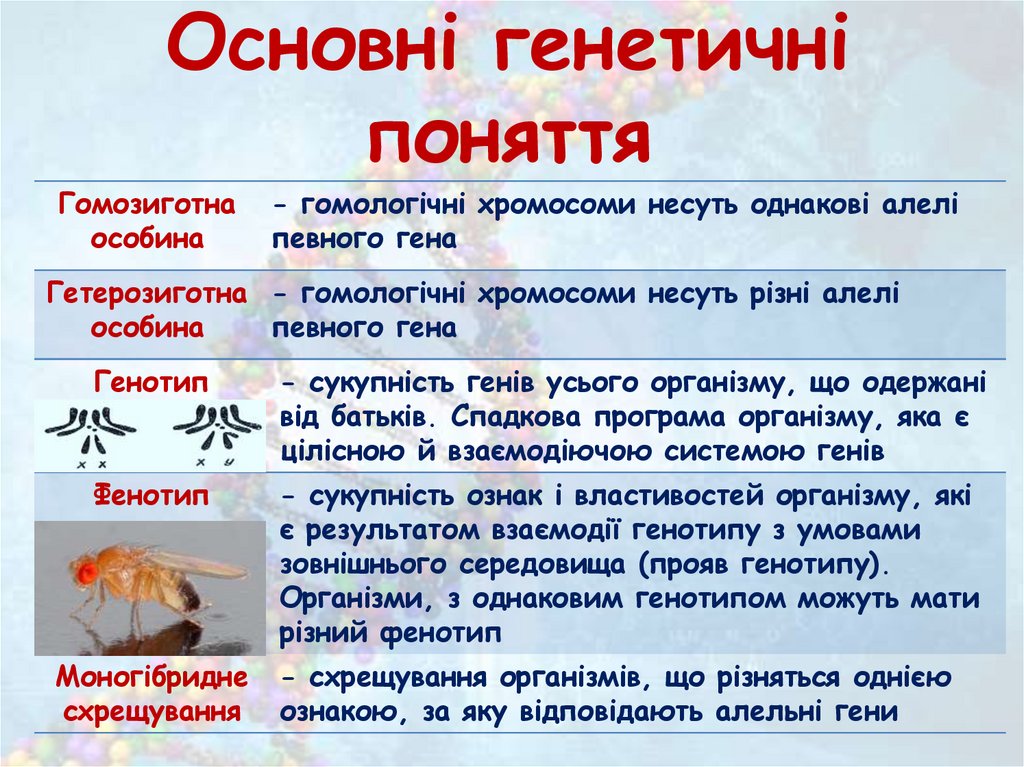 Основні генетичні поняття