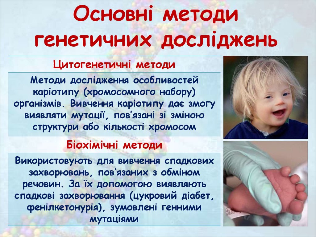 Основні методи генетичних досліджень