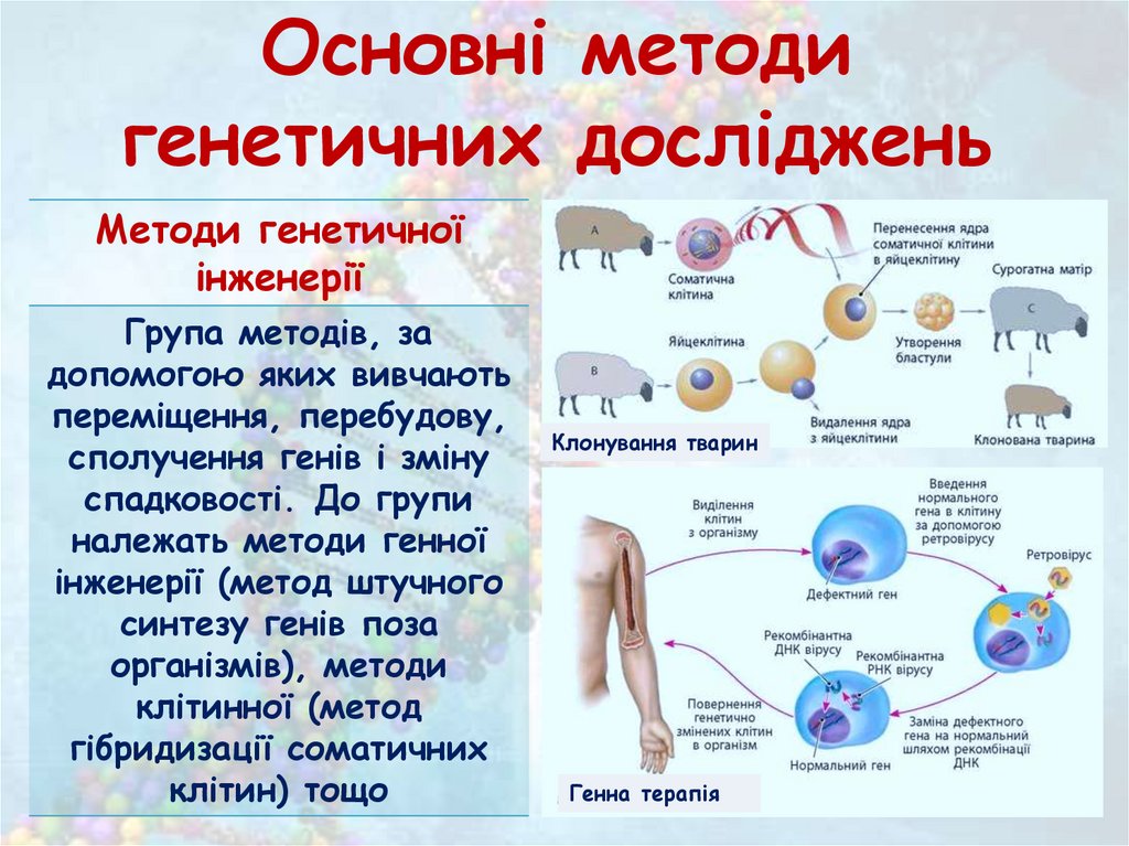 Основні методи генетичних досліджень