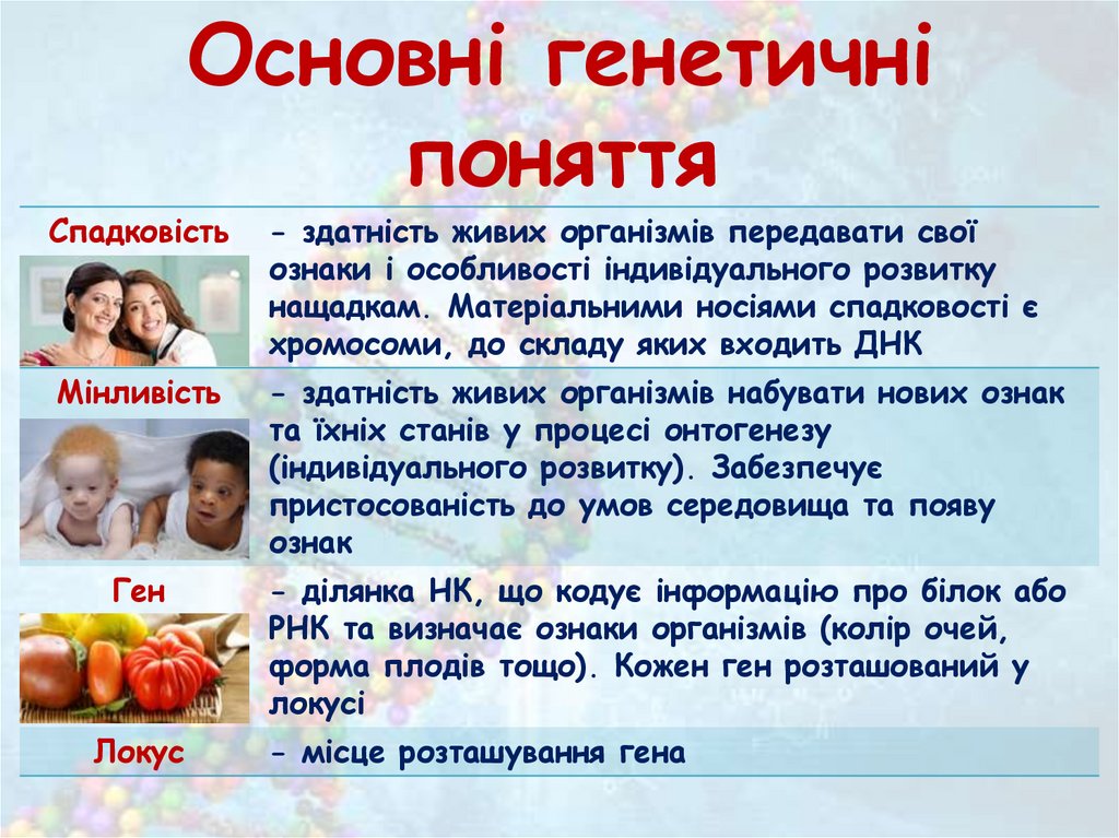 Основні генетичні поняття